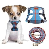 CHEDE No Pull Puppy Harness and Multifunction Dog Leash Set- 8 Colors Soft Adjustable No Choke Escape Proof Cute,Lightweight Pet Vest Harness for Small and Medium Dog (XS, Blue Grid)