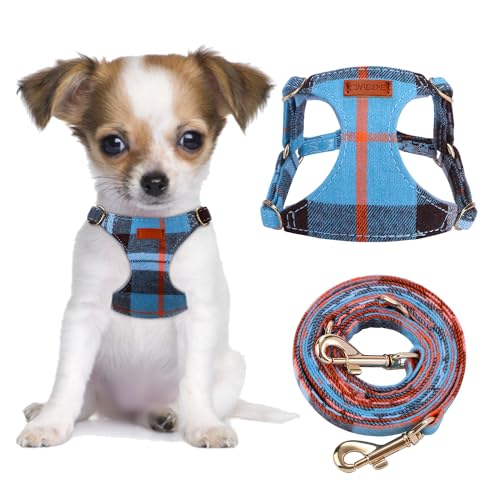 CHEDE No Pull Puppy Harness and Multifunction Dog Leash Set- 8 Colors Soft Adjustable No Choke Escape Proof Cute,Lightweight Pet Vest Harness for Small and Medium Dog (XS, Blue Grid)
