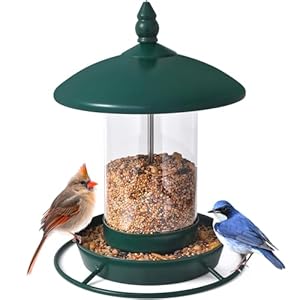 Bird Feeder for Outdoors – 360° Feeding Perch. Green
