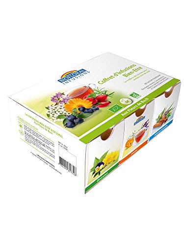 Biofloral Infusions Coffret d'Infusions Bien-Etre Bio 60 Sachets