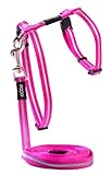 Rogz Reflective Nylon Cat Leash and Harness Combination Set, escape proof for walking and fully adjustable to fit most breeds, Pink