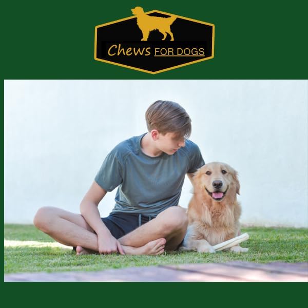 Miniatura 6 de GOLDEN Chews Retriever - Rollos de piel cruda de 7 a 8 pulgadas hoja individual producto 100  natural gran solución para masticar perros de