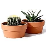POTEY Terracotta Shallow Planters for Succulent - 6.1 Inch Cactus Plant Containers Indoor Garden Bonsai Pots with Drainage Hole - Set of 2, Unglazed