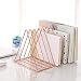 Sooyee 9 Slot Rose Gold Magazine Holder,Desktop File Sorter Organizer Triangle Bookshelf Decor Home Office