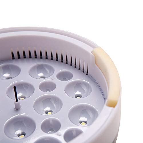 SOBW Brutmaschine Vollautomatisch – Inkubator Hühner 9/12 eir – Brutautomat mit Temperaturregelung, ideal für den… – Bild 8