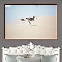 Framed Canvas Wall Art Bird on The Beach Aerial Beach Birds Cool Multicolor Photography Realism Relax/Calm Single - 16x24 inches