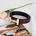 EXTREE Gold Buckle Belts for Women, Fashion Waist Band, Elegant Ladies' Belt, Gift for Women,Ideal for Dresses, Jeans