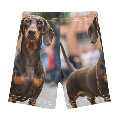 Under Skirt Shorts Floral Cotton Toddler Girls Biker Shorts 4t Children Funny Dachshund Dog2