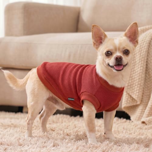 Image of 1 Pack Dog Shirt for Small Supplies Functional Waffle Dog Clothes Warm Soft Sweatshirt Outfit for Dogs Cats Pet Apparel