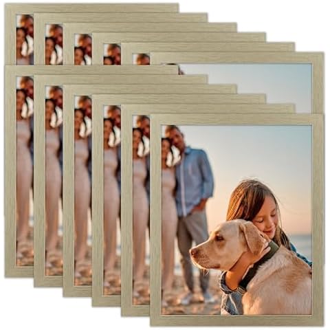 Toner Depot Picture Frames Set for Photos and Artwork, 8x10 Frames Set, 12 Pack,Family Photos, Artwork, Light Weight Bulk Frames Pack for Wall Hanging and Table Stylish Gift (Gold) Cover