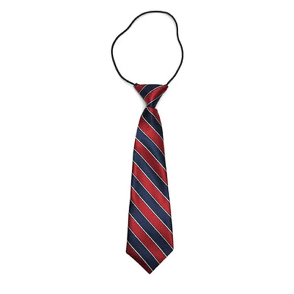 Tie For Kid Pre-tied Necktie For Boy Pre-tied Ties Boy Necktie For Kid Uniform Tie Striped Tie For School Graduation Boy Neckties For Kids