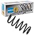 Bilstein 36-239771 Low-Fitting Car Springs
