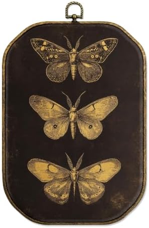 Bekecidi Vintage Three Butterfly Wall Art Framed, Octagon Canvas Hanging, Dark Academia & Cottagecore Decor, 10.2 x 7.1 Inch