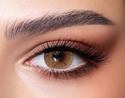Bella Contact Lenses - One Day Color Collection (10Lenses per pack) - Plano (Hazel Beige)-image-14