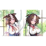 [YAORUI] メイショウドトウ 抱き枕カバー ウマ娘 車載抱枕 EX版 2wayトリコット 同人グッズ アニメ 50*160cm クッションカバー グズ 背当て 飾り 萌えグッズ 長い枕 枕カバー インテリア (通常版（558）)