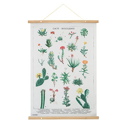 Grupo Erik Banderola Botanical cacti - Póster tela cactus 53x71 cm - Cuadro tela pared, Decoración pared cactus - Póster cactus