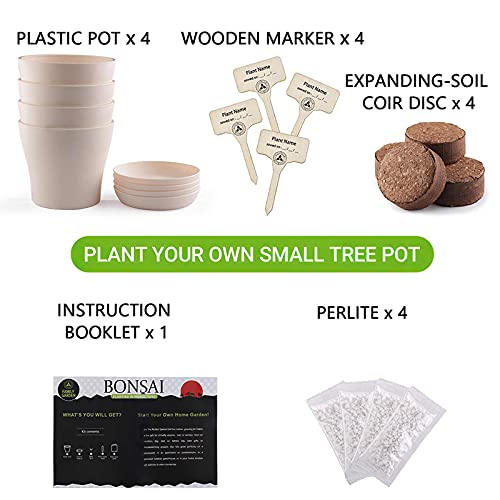 ConpConp Kruid Tuinieren Kits, Bonsai Tree KIT, Starter Grow Plant Kit, Sets Inclusief 4 Verdikte pp Bloempot met… - Afbeelding 4