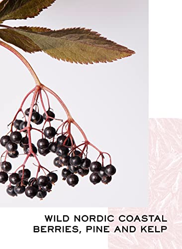 New London Light 'Midnight Sun' | 0% Non-Alcoholic Aperitif, 70Cl | Nordic Wild Coastal Berries, Kelp And Pine Flavors | Made In England #TOP3