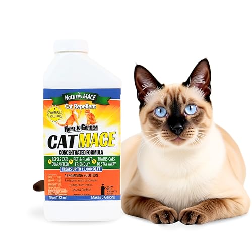 How to Keep Stray Cats off Your Porch: Try These Options! 3 Nature's Mace Cat Repellent 40oz Concentrate