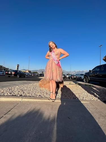 Zepumen Flower Embroidery Tulle Prom Dresses for Women Sweetheart Neck Formal Evening Party Gowns2