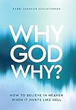 Why God Why? How to Believe In Heaven When It Hurts Like Hell