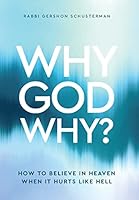 Why God Why? How to Believe In Heaven When It Hurts Like Hell B0C1HCG1SR Book Cover