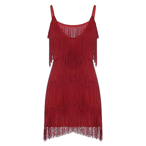Robe Années 20 Charleston Femme sans Manche Robes Gatsby Cocktail à Bretelles Réglables Robe à Frange pour Déguisement Soirée à thème Danse Latine...