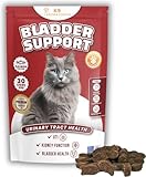 Blasen Ergänzungsfuttermittel für Katzen – Snack bei Blasenentzündung & Struvit – Unterstützung Harnwege – 30 Stück