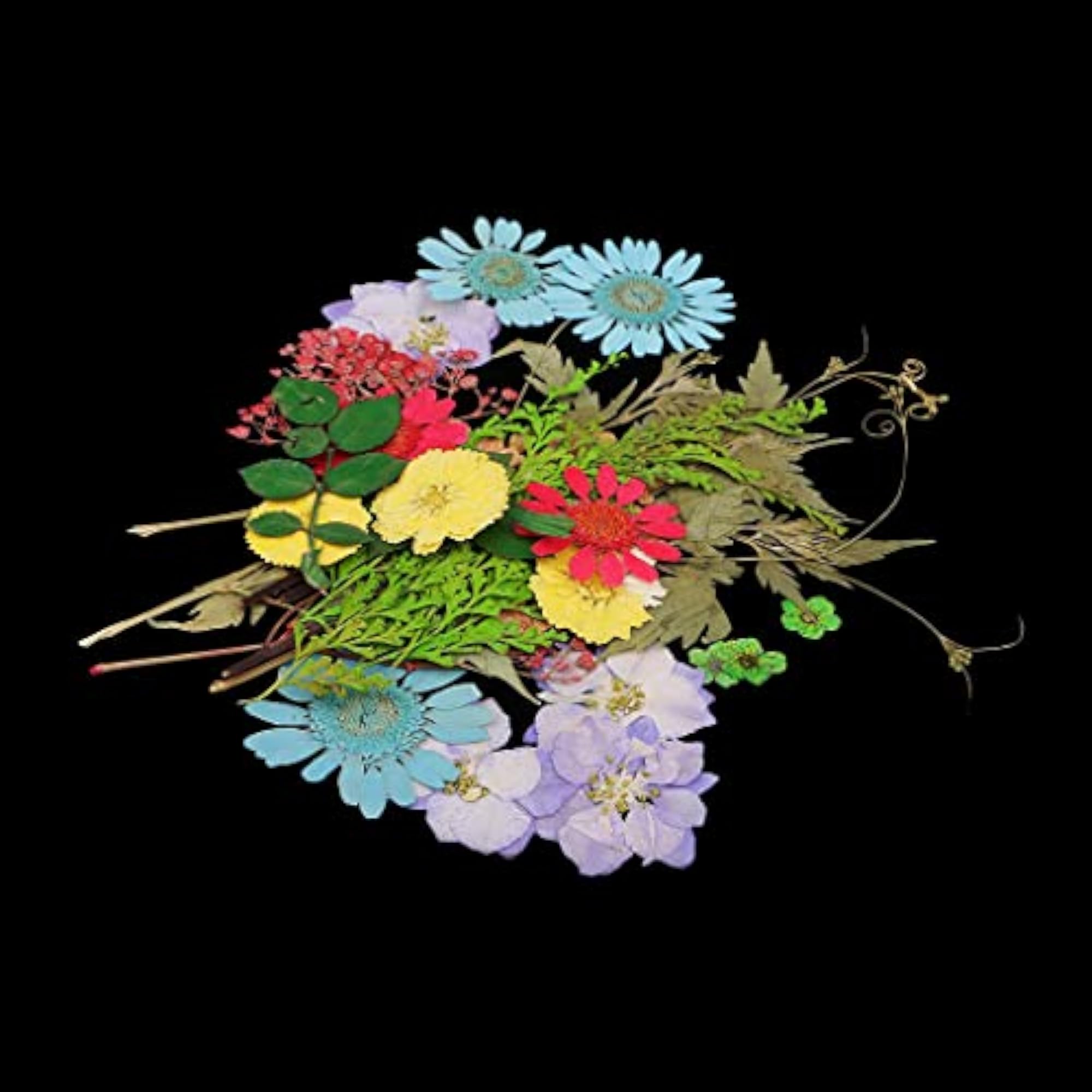 Natural Pressed Dried Flowers Leaves Art Craft Set