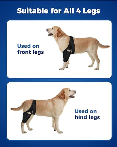 Image of Dog Knee Leg ACL Brace - Dog ACL Brace for Front Torn and Back Hind Rear Legs ACL Tear, Dog Leg Brace for Hip Dysplasia, Dog Arthritis, Luxating Patella, Comfortable and Adjustable (XXXL-Size)