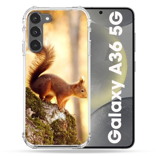 Coque Samsung Galaxy A36 5G Cokitec renforcée motif écureuil en bois