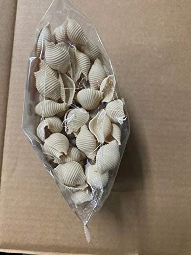 Great Low Carb Bread Company Pasta Shells