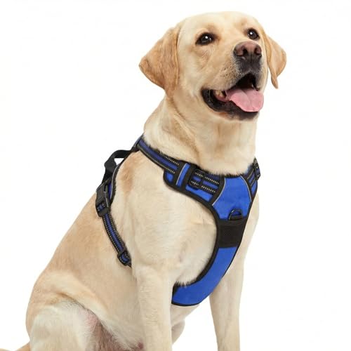 Funfox Dog Harness No Pull, Adjustable Pet Vest Harness Blue L with Handle, 2 Leash Clips for Daily Walking Easy Control, Soft Durable Reflective