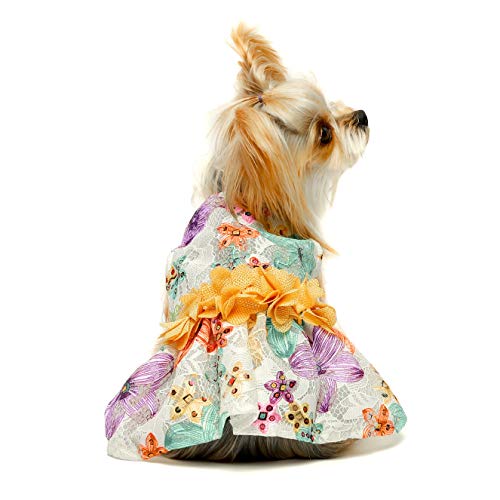 Fitwarm Fancy Flower Lace Dog Dress, Dog Clothes For Small Dogs Girl, Pet Cat Apparel, Yellow, Medium #TOP1