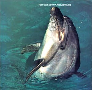 JOE LEE WILSON - Hey Look At You - Disque CD