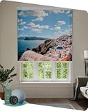 Yoolax Motorized Roller Shades with Remote, Personalized Image Printed Smart Blinds Work with Alexa, Automatic Shades for Windows Bedroom Office, Custom Size and Picture(Modern City)