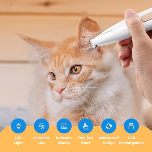 Image of Pet Razor, Waterproof Paw Hair Trimmer, Cat Clipper, Low Noise Dog Shaver, Rechargeable Paw Cutter with LED Light for Dogs and Cats