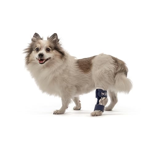 Image of Balto Hock Brace - Dog Brace with Aluminum Splints - Pre /Post Surgery Helps Support Arthritis and Unstable Joints - Back Leg Support (Small)