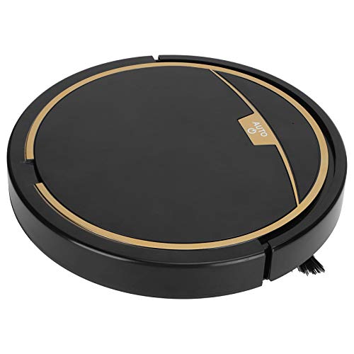 Bewinner Robot Vacuum Cleaner, Smart Cleaner with Remote Control, 2800Pa Suction Power Cleaner, for Cleaning Dust and Hair for Home