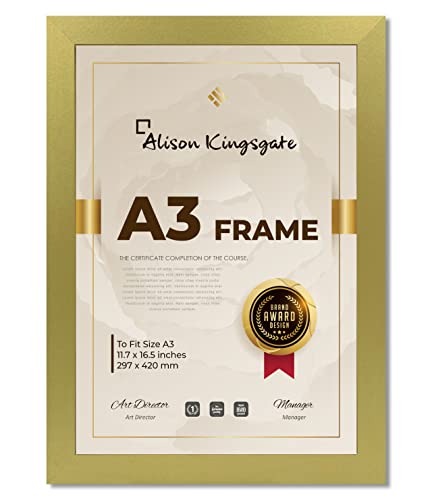 Alison Kingsgate A3 Gold Frame 30x42cm - Clear Perspex & Wall Hook - Picture & Poster Frames