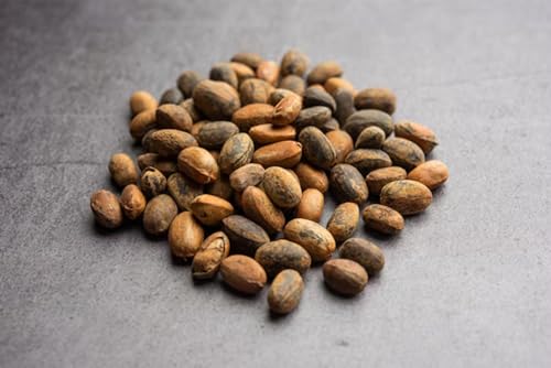 Nuru Jamalgota Seeds For Hair - Croton Seed | Croton Tiglium Seed | Jamalghota Seed | Jamalgota Beej | Jamalghota Beej | Jamal gota Seeds | Make Paste (50 gm)