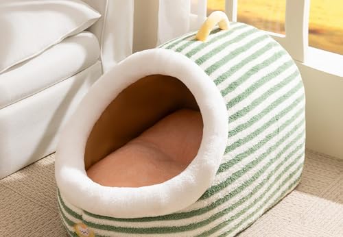 Neakarfer- xbh h[ybgxbh ybgnEX h[^ y NbVt nEX  g 􂦂 ~ K NbVt  ybgpi  L ӂӂxbh ꏊ ybgxbh ~p^A^