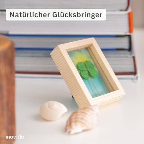 Inovida Inovida Kleine Glücksbringer: Echtes vierblättriges Kleeblatt zum Verschenken im Holzrahmen – Kleines Geschenk für Glück – Aufmunterung Geschenke – Dankeschön Geschenke Klein – Glücksbringer Prüfung - Detailansicht 2 | TV | Video | Foto