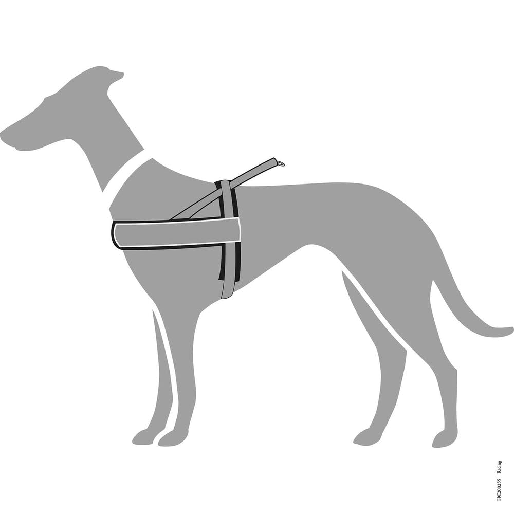 HUNTER Pettorina norvegese RACING, XL, 68-90 cm marrone/cognac