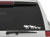 DECALS USA T-Rex Family Decal Sticker for Car and Truck Windows and Laptops