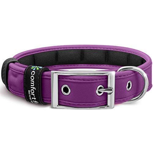 Comfortable Dog Collars Best Family Pets