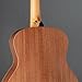 Sapele GS Mini by Taylor