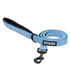 Leash (Baby Blue)