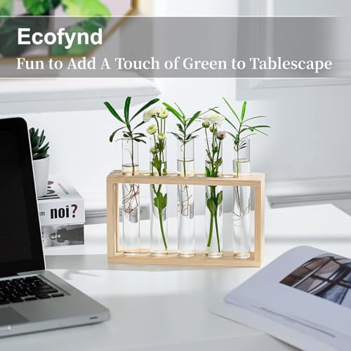 Image of ecofynd Test Tube Planter with Wooden Holder, Air Planter Glass Vase Holder with 4 Test Tube, Home Decor Hydroponic Plant Stand for Table Top, Desktop, Living Room, Office (TTP003)