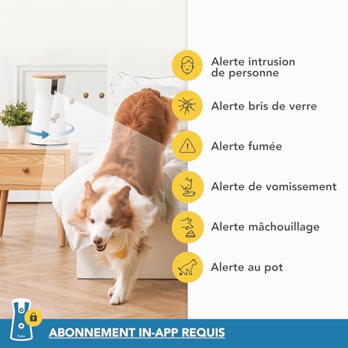 Image of Furbo 360 Dog Camera + Nanny Bundle: Home Security & Dog Safety Alerts, Rotating Pet Treat Dispenser Camera with Speaker, Smart Home Indoor Cam w Phone App (Additional Subscription Required at Setup)